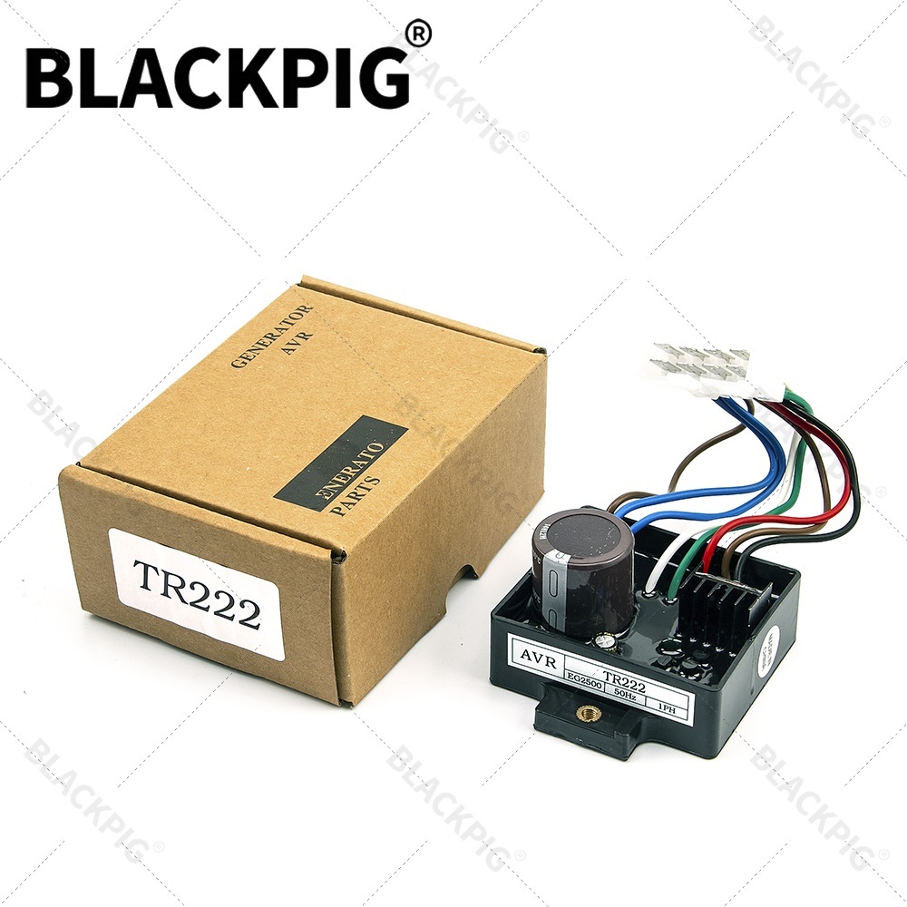 TR222 EG2500 AVR Automatischer – Cycloidal Reducer Bldc Motor Bewertung und Preis